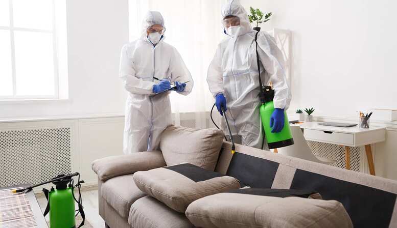 Umfassende Schädlingsbekämpfung in Hamburg